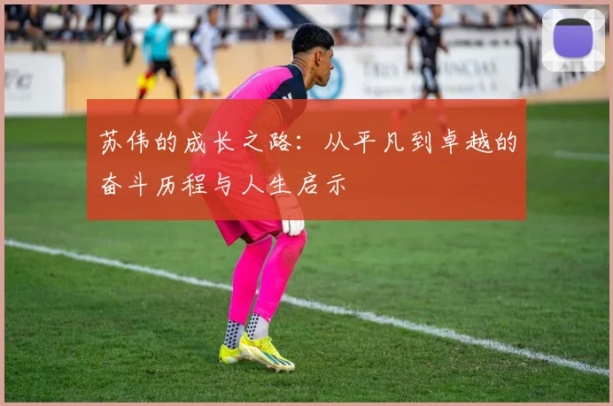 苏伟的成长之路：从平凡到卓越的奋斗历程与人生启示