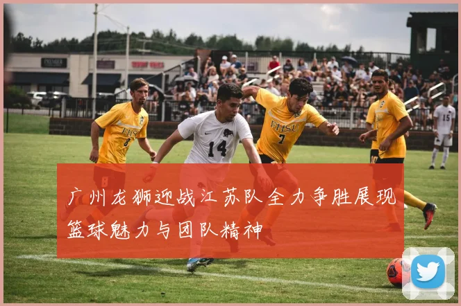 广州龙狮迎战江苏队全力争胜展现篮球魅力与团队精神