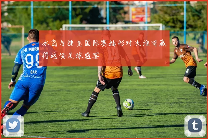 冰岛与捷克国际赛精彩对决谁将赢得这场足球盛宴