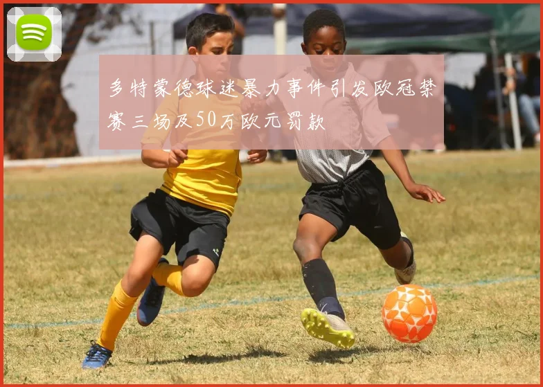 多特蒙德球迷暴力事件引发欧冠禁赛三场及50万欧元罚款