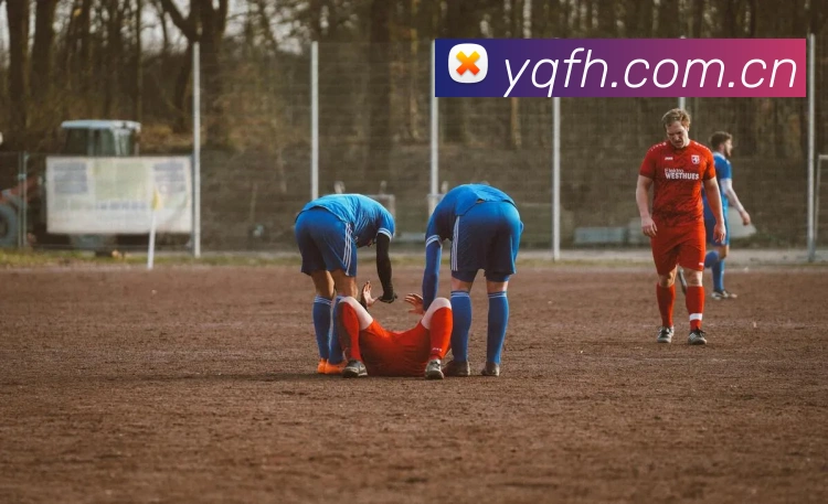 乐鱼体育发展历程